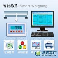 電子稱重4~20mA與0-10V輸出工業(yè)衡器供應(yīng)——精準(zhǔn)秤量，賦能智能制造